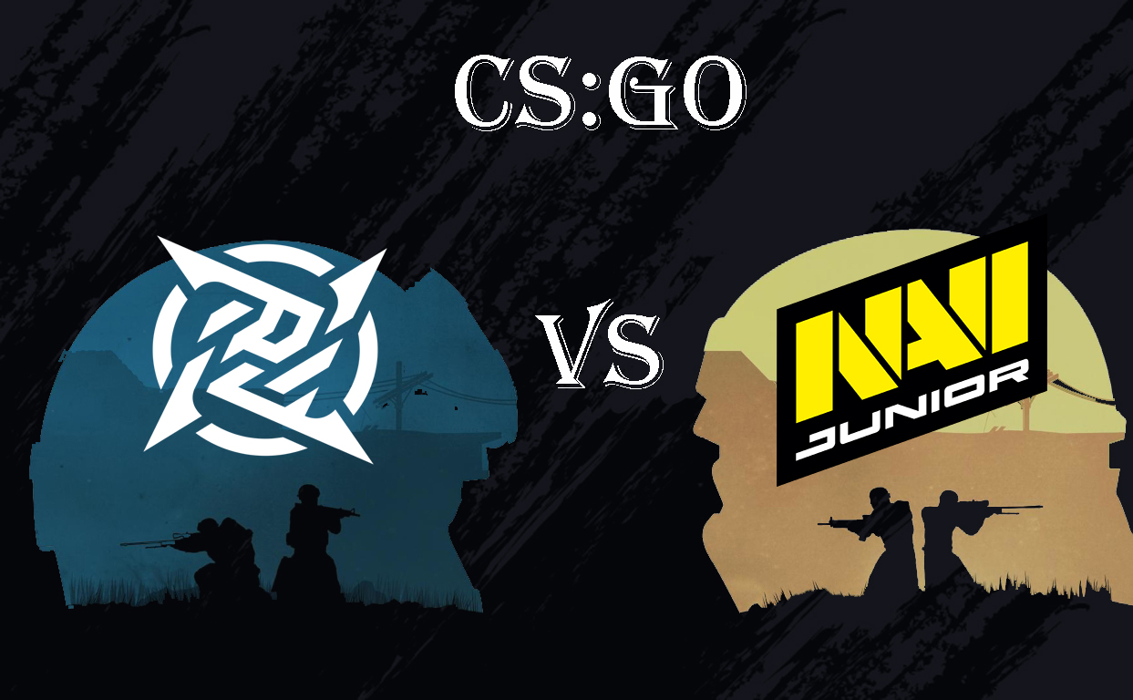 Navi junior cs go