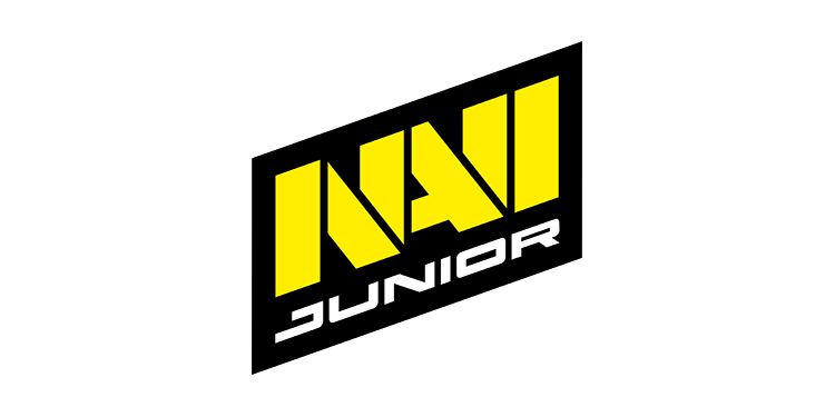 Как попасть в navi junior cs go