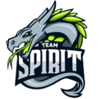 team_logo_alt