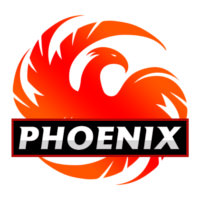 Phoenix Team CSGO