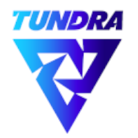 Tundra Team DOTA 2